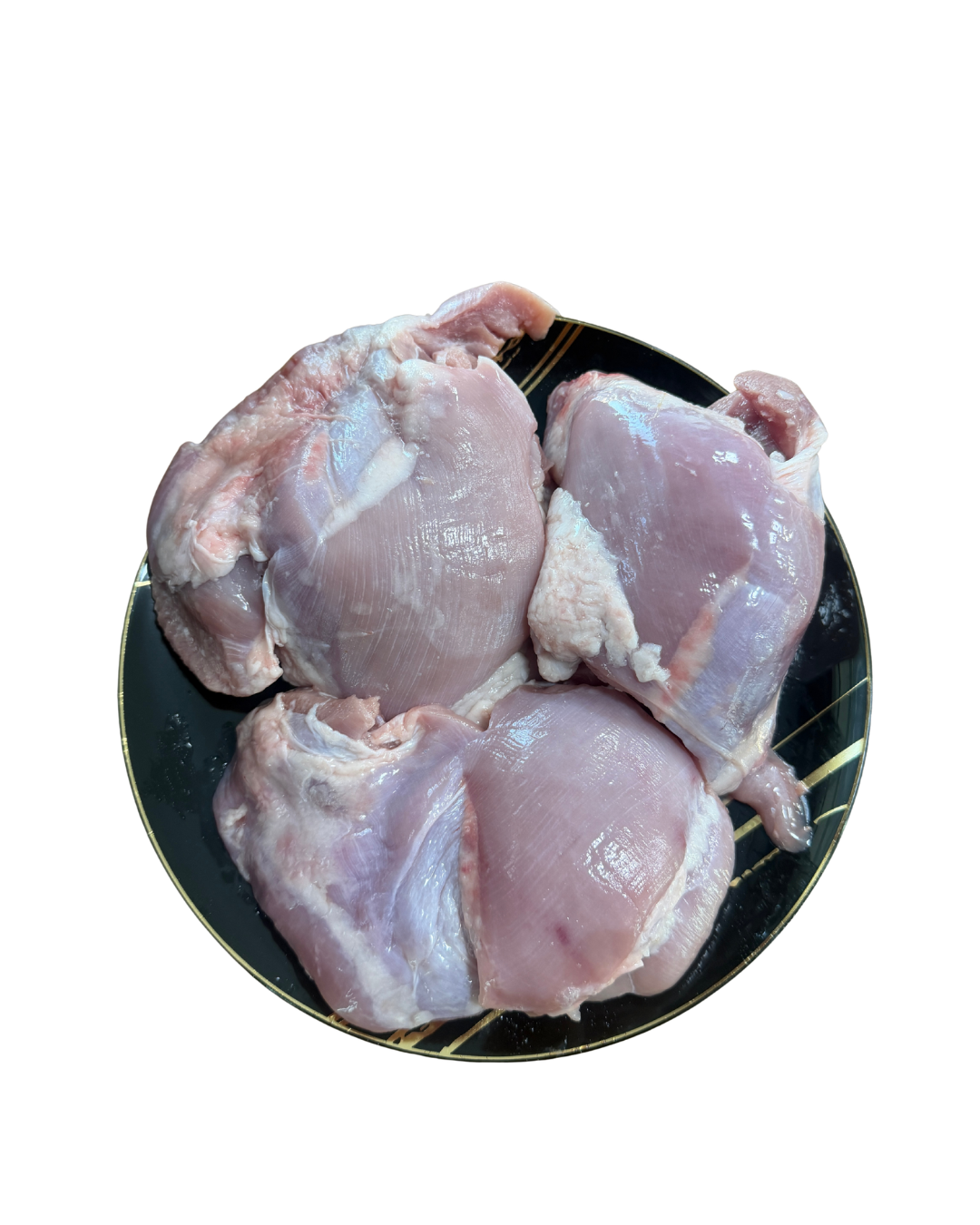 صدر حبش